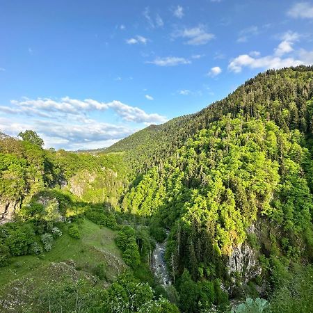 Green Mountain Боржоми Экстерьер фото