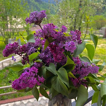 Green Mountain Боржоми Экстерьер фото