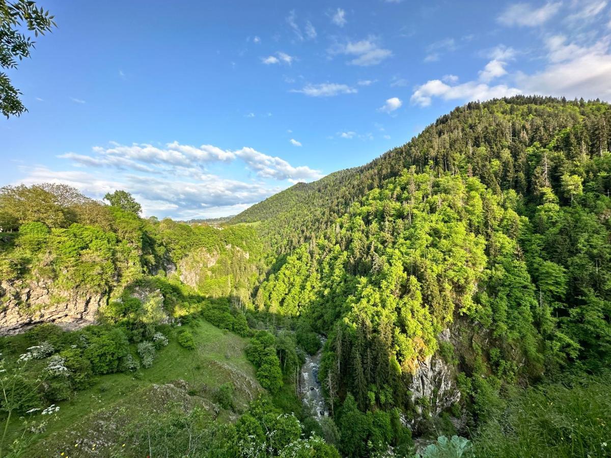 Green Mountain Боржоми Экстерьер фото