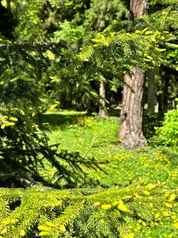 Green Mountain Боржоми Экстерьер фото