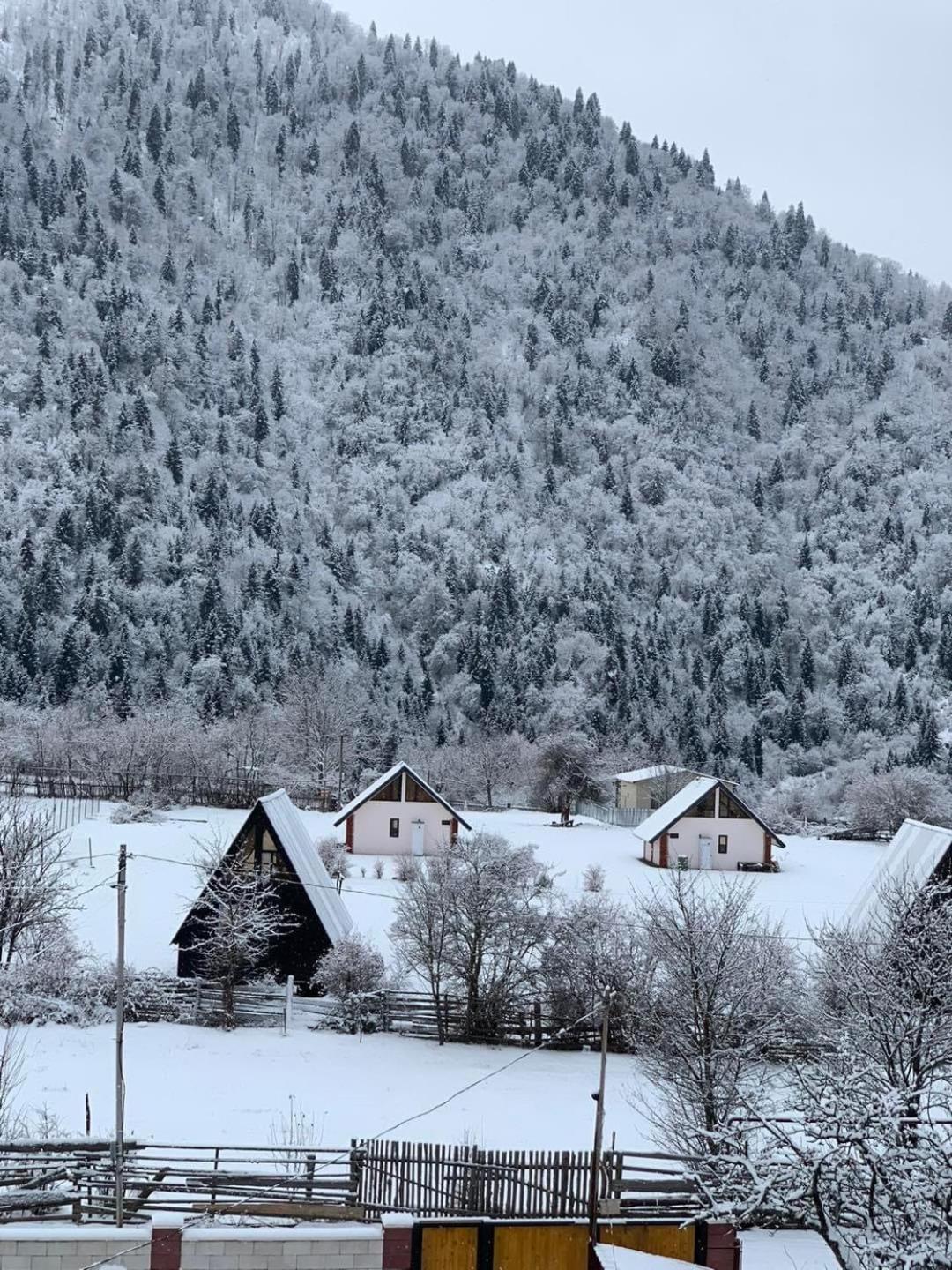 Green Mountain Боржоми Экстерьер фото