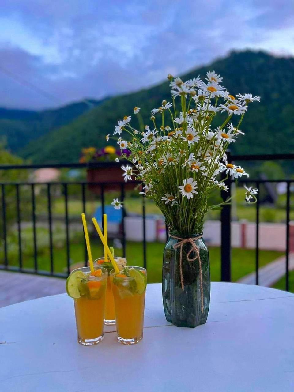Green Mountain Боржоми Экстерьер фото